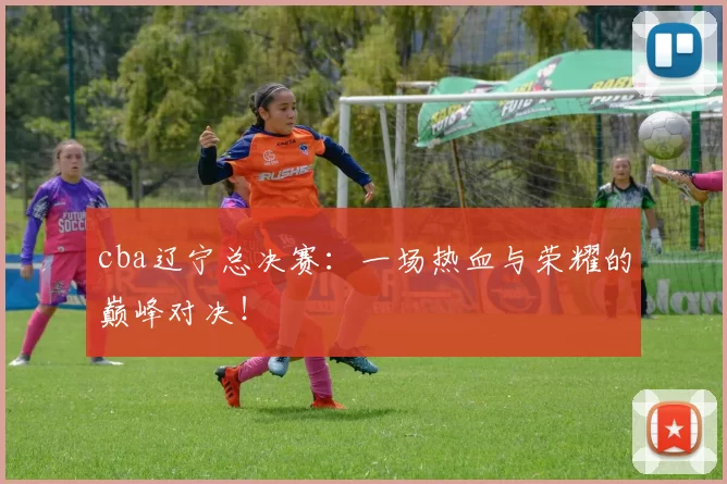 cba辽宁总决赛:一场热血与荣耀的巅峰对决!