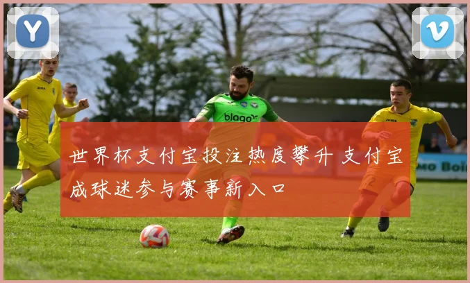 世界杯支付宝投注热度攀升 支付宝成球迷参与赛事新入口