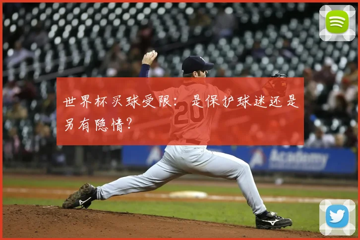 世界杯买球受限：是保护球迷还是另有隐情？