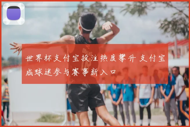 世界杯支付宝投注热度攀升 支付宝成球迷参与赛事新入口