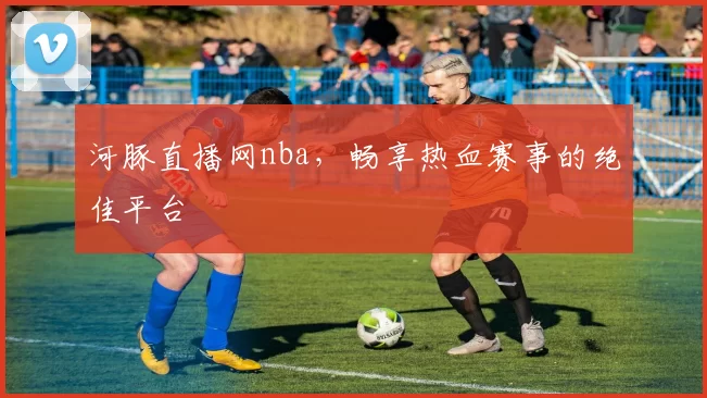 河豚直播网nba，畅享热血赛事的绝佳平台