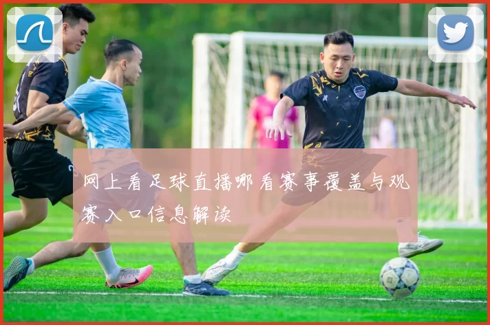 网上看足球直播哪看赛事覆盖与观赛入口信息解读