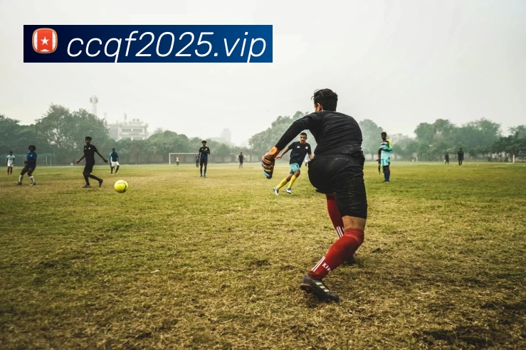 「开云中国官方网站」Kaiyun·登录入口 - 科技集团APP 封面图